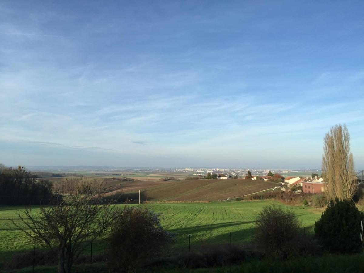 Villers-Allerand Villa Reims Epernay Champagne Vineyard מראה חיצוני תמונה