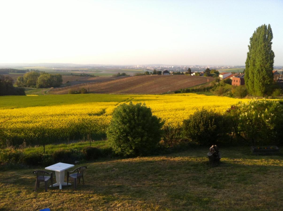 Villers-Allerand Villa Reims Epernay Champagne Vineyard מראה חיצוני תמונה