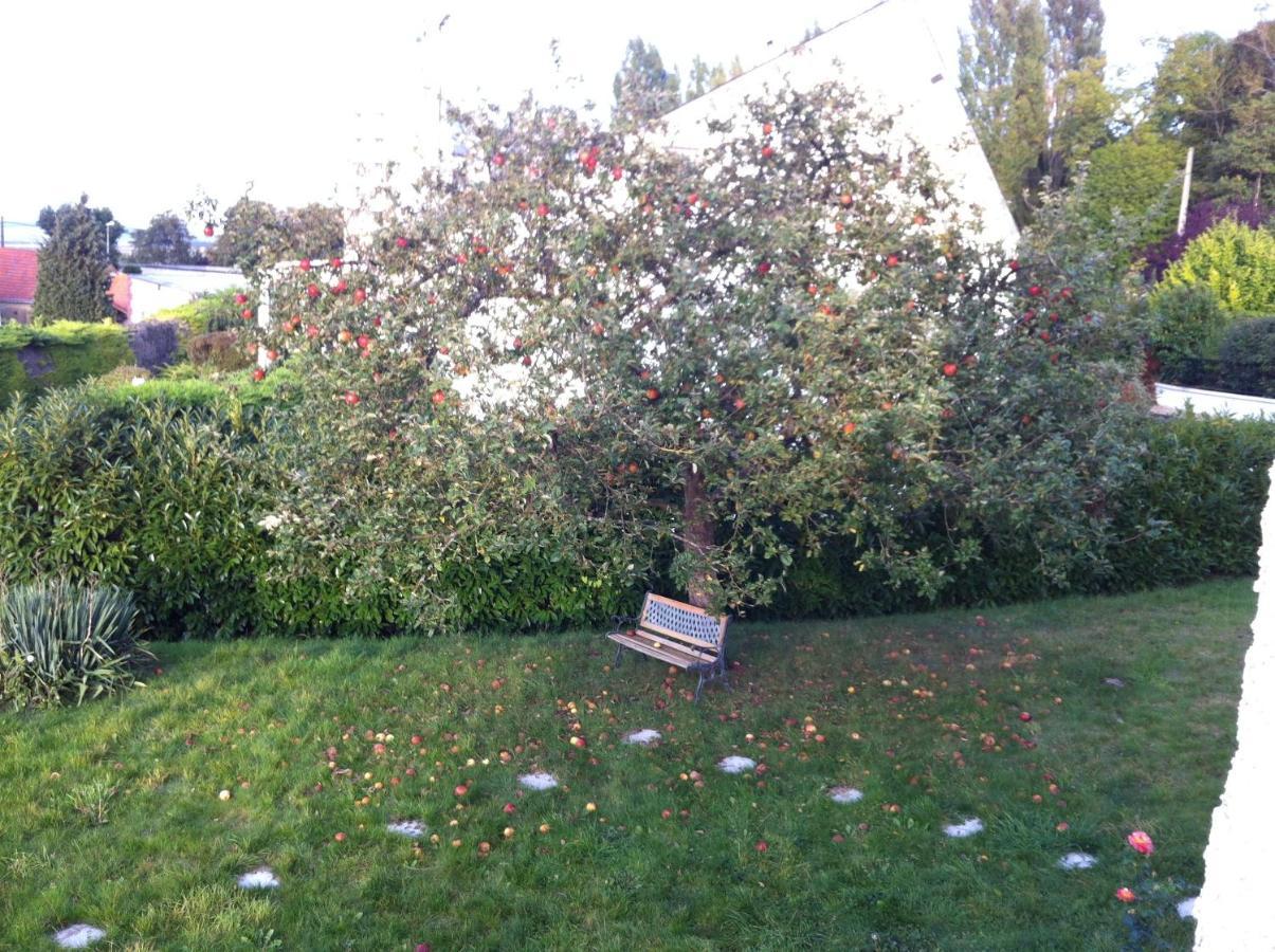 Villers-Allerand Villa Reims Epernay Champagne Vineyard מראה חיצוני תמונה