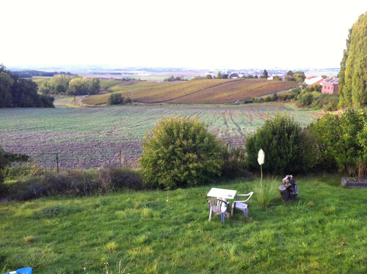 Villers-Allerand Villa Reims Epernay Champagne Vineyard מראה חיצוני תמונה